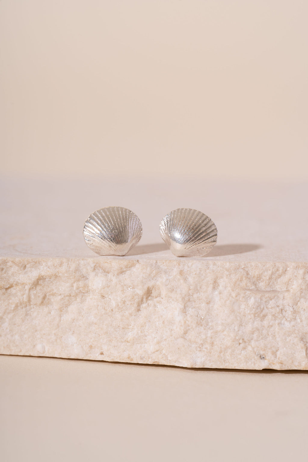 Silver Devon Shell Stud Earrings