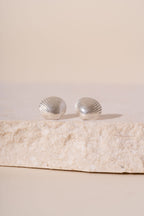 Silver Devon Shell Stud Earrings