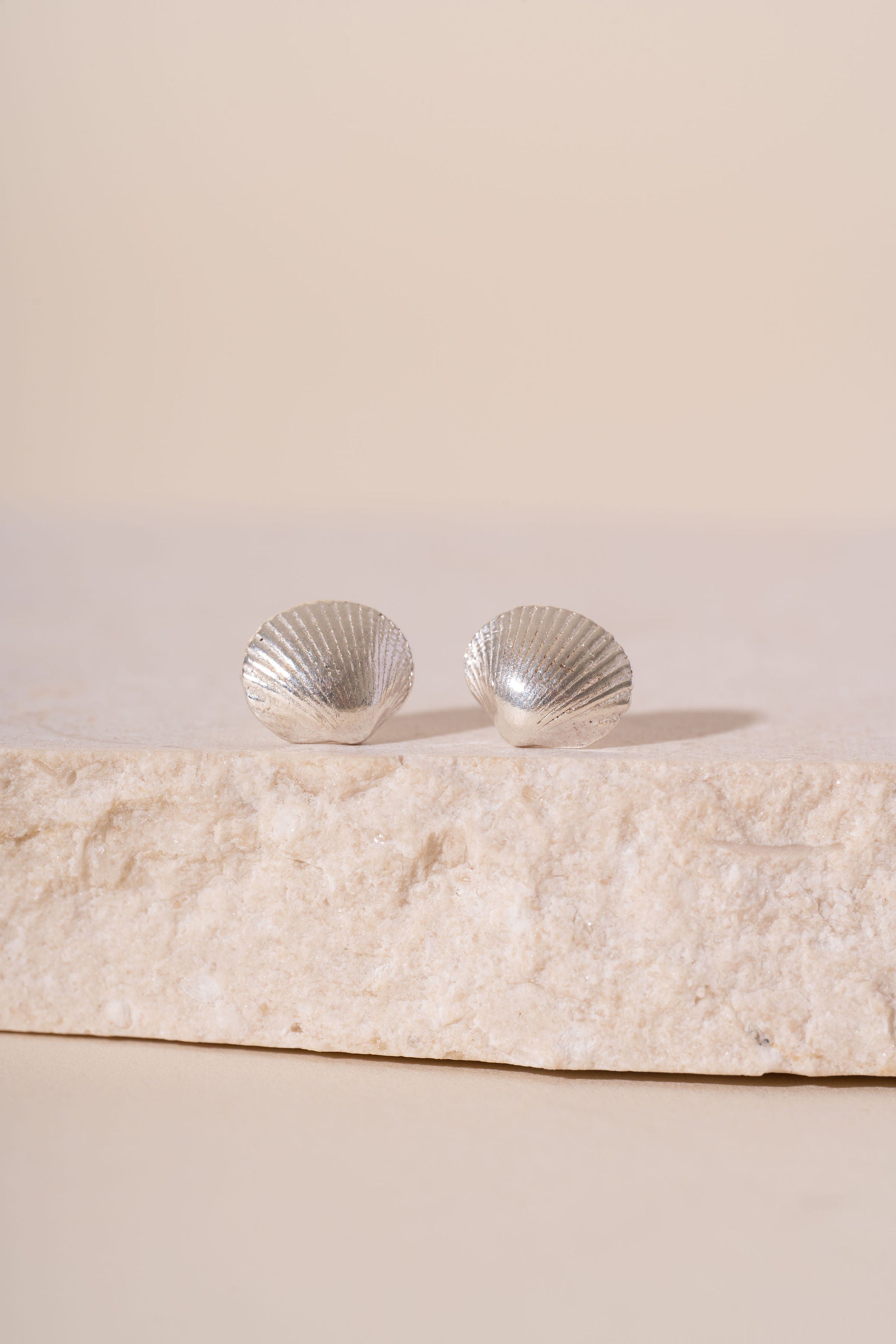 Silver Devon Shell Stud Earrings