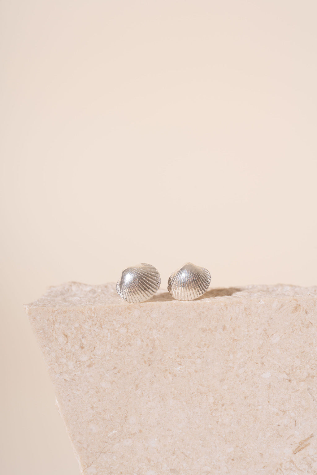 Silver Devon Shell Stud Earrings