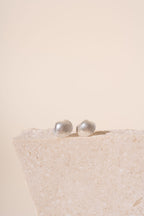 Silver Devon Shell Stud Earrings