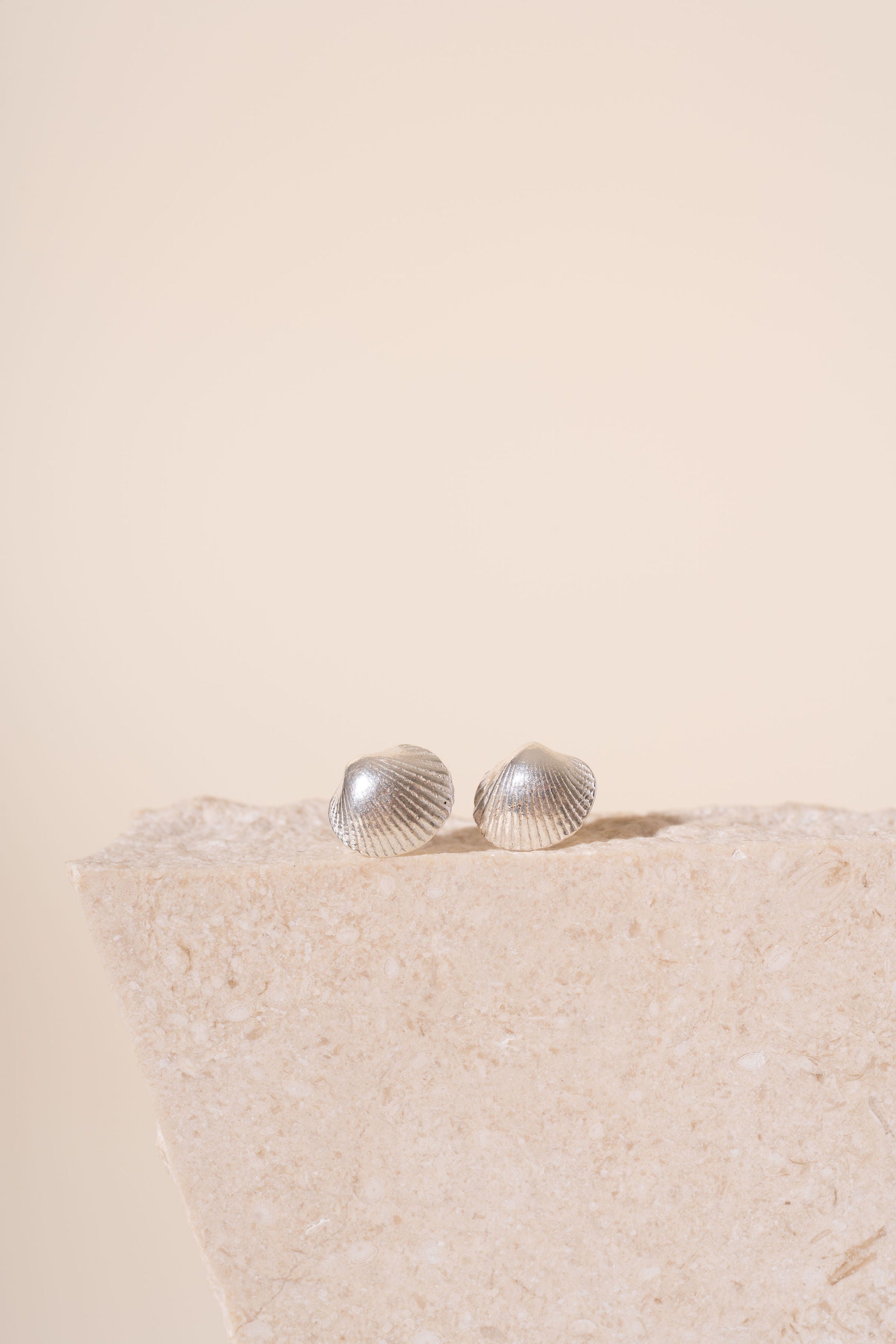 Silver Devon Shell Stud Earrings